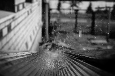 Full frame shot of wet spider web on glass window