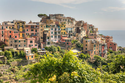 View of village houses  and sea bay of  corniglia village at cinque terre area,  italy,  june, 2019.