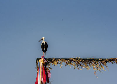 Low angle view of bird perching on wooden post against sky