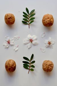 High angle view of various flowers on table