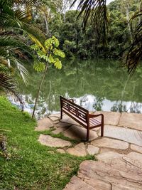 Empty bench by swimming pool against trees