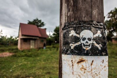 Close-up of tree trunk against sky