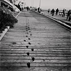 the way forward