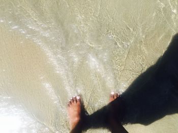 Low section of woman standing on beach