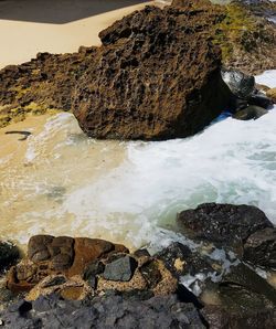 Close-up of sea shore against sky