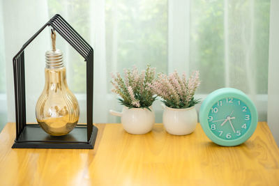 Close-up of potted plant on table against wall