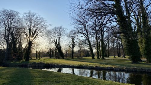 Scenic view of park by lake against sky