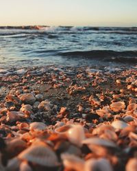 Surface level of pebble beach