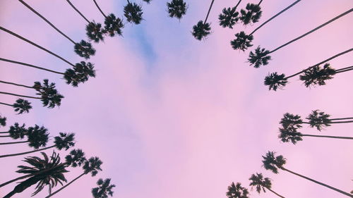 Low angle view of tree against sky