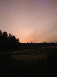 Silhouette bird flying over field against sky during sunset