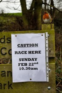 Close-up of information sign