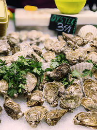 High angle view of oysters for sale in market