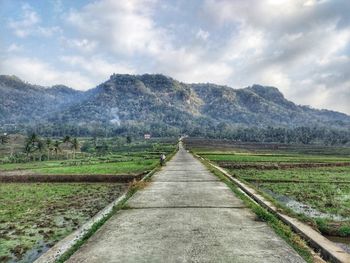 View of rural landscape