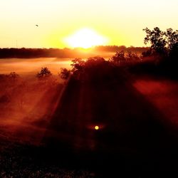 Scenic view of silhouette field against sky during sunset