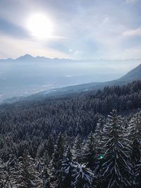 Scenic view of landscape against sky during winter