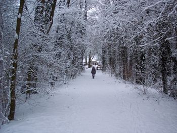Rear view of man in snow covered forest