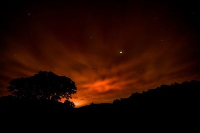 Silhouette trees against sky at night