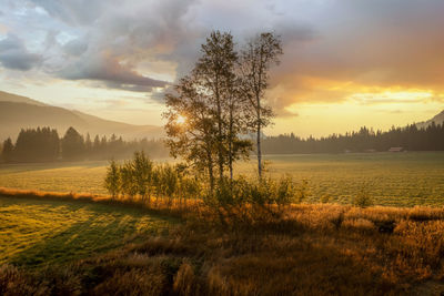 Scenic view of field against sky during sunset