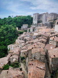 Mixing nature with a usual tuscan city view