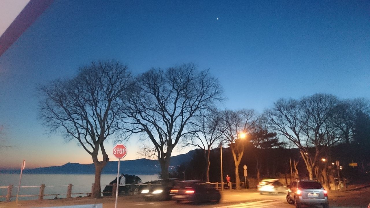 illuminated, tree, sky, building exterior, no people, land vehicle, outdoors, bare tree, city, night, red light