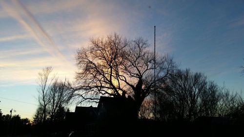 Low angle view of silhouette bare trees against sky