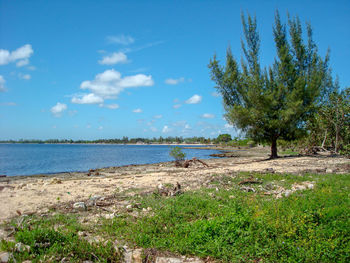 Scenic view of land against sky