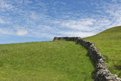 Scenic view of green landscape against sky