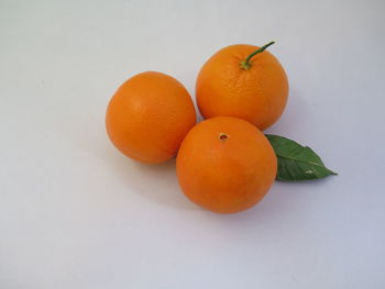 Close-up of orange fruit against white background