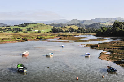 Scenic view of lake