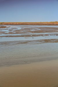 Scenic view of beach against clear sky