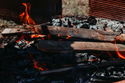 Close-up of fire on log