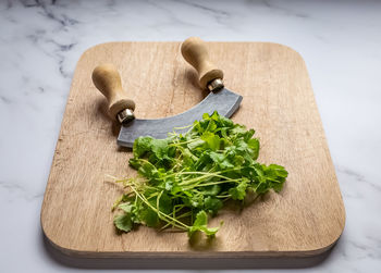 High angle view of vegetables on cutting board