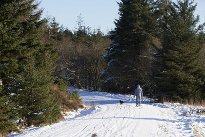 Snow covered landscape against sky