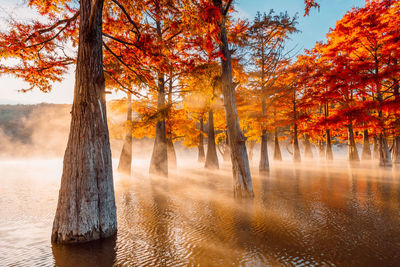 Scenic view of lake