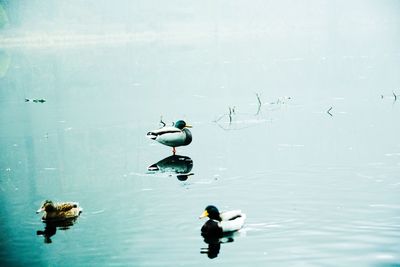 Man in boat on lake against sky