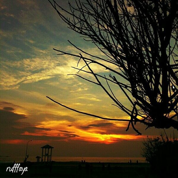 sunset, silhouette, sky, tranquility, scenics, orange color, tranquil scene, beauty in nature, tree, cloud - sky, nature, bare tree, idyllic, water, cloud, branch, dramatic sky, sun, outdoors, moody sky