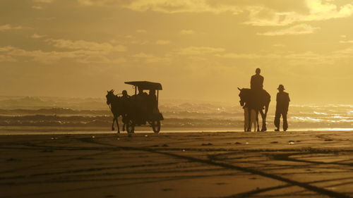 Silhouette people riding horse on beach against sky during sunset