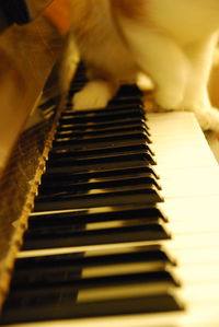 Close-up of piano keys