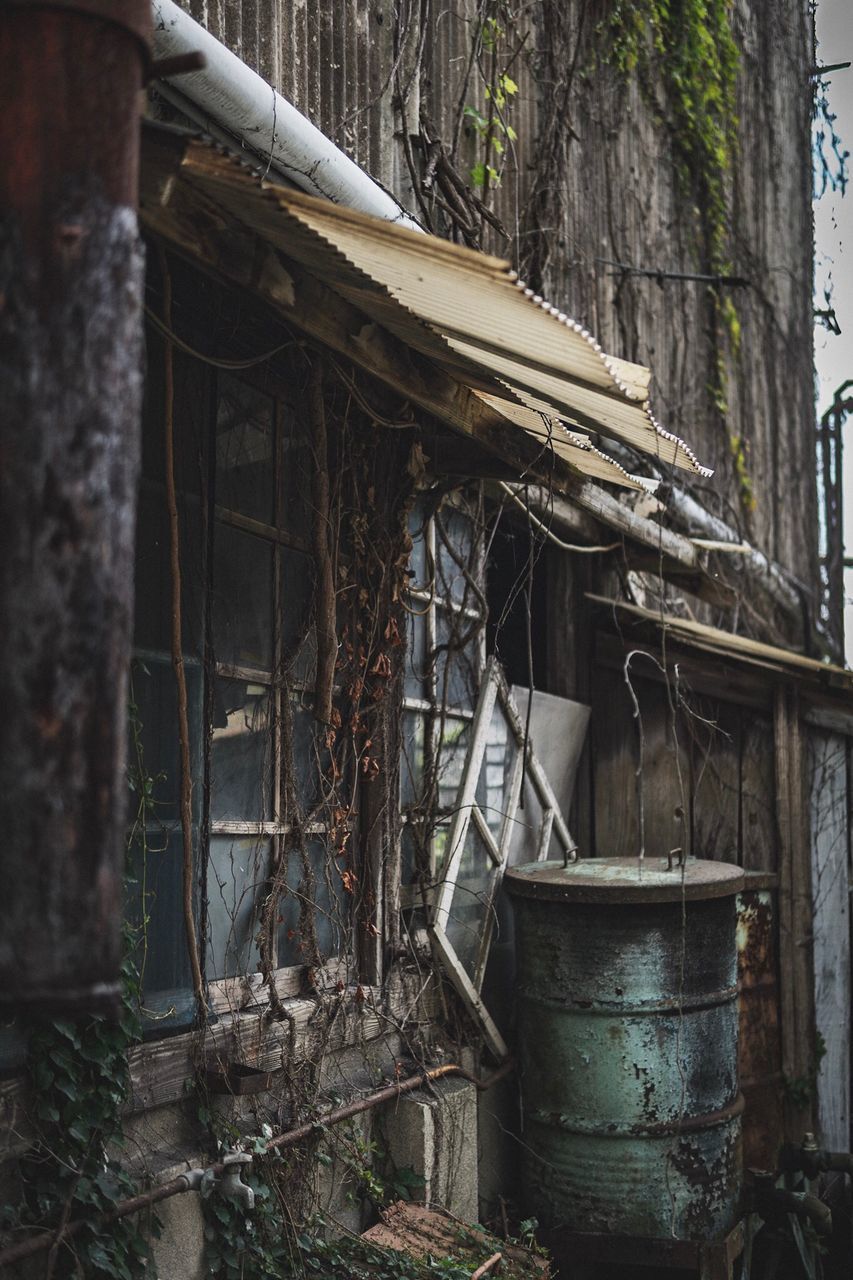 ABANDONED BUILDING BY TREES