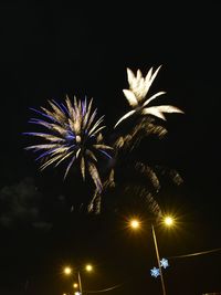 Low angle view of firework display at night
