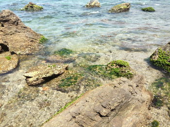 High angle view of rocks in sea