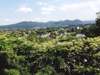 View of houses in village surrounded by trees