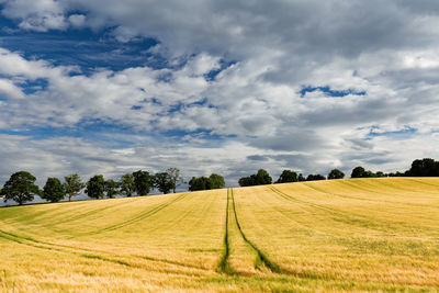 Scenic view of field against sky