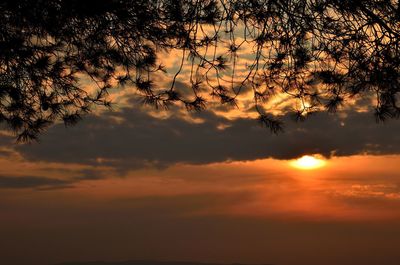 Low angle view of silhouette trees against dramatic sky