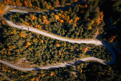 High angle view of road amidst trees during autumn