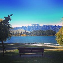 Empty bench in park