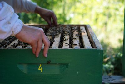 Midsection of beekeeper holding box