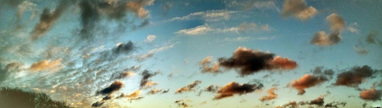 sky, cloud - sky, water, nature, beauty in nature, tranquility, scenics, tranquil scene, blue, sea, animal themes, outdoors, no people, idyllic, cloudy, day, cloud, animals in the wild, wildlife