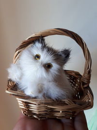 Cropped hand holding small basket with stuffed toy