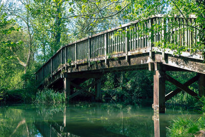 Bridge over lake in forest